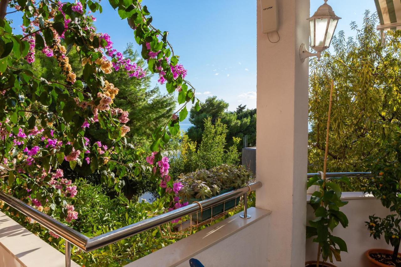 Villa Marko Stanici Екстериор снимка